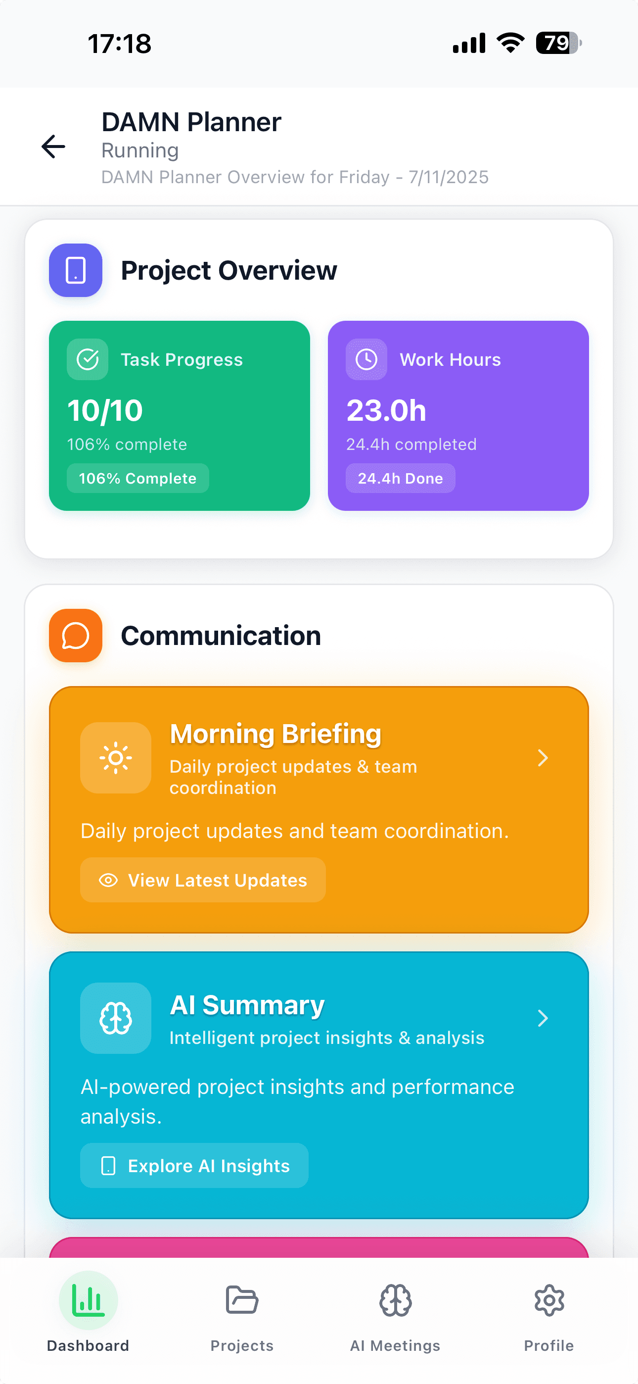 Project Overview — Performance